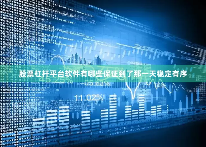 股票杠杆平台软件有哪些保证到了那一天稳定有序