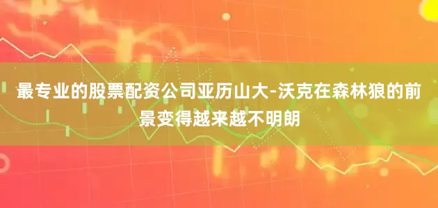 最专业的股票配资公司亚历山大-沃克在森林狼的前景变得越来越不明朗