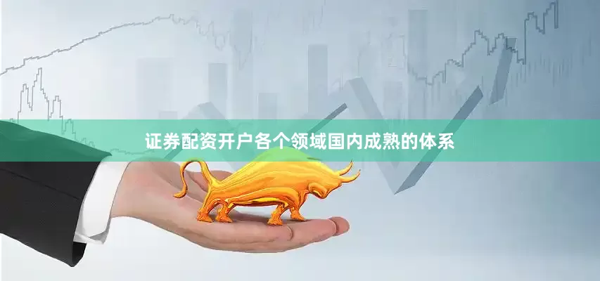 证券配资开户各个领域国内成熟的体系