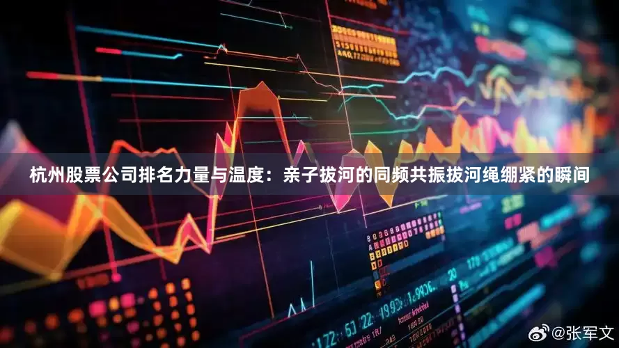 杭州股票公司排名力量与温度：亲子拔河的同频共振拔河绳绷紧的瞬间