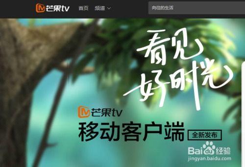 芒果tv在线,打造多元化娱乐盛宴，引领网络视听新潮流