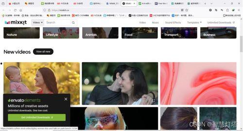 免费高清视频在线观看,免费高清视频，一键在线观看新体验