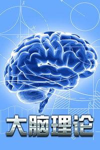 在线理论片,揭秘在线理论片的魅力与启示