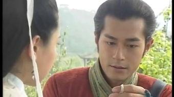 寻秦记在线观看,探寻古代英雄传奇