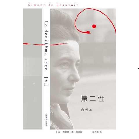 第二性在线阅读,女性解放与社会角色的深刻剖析