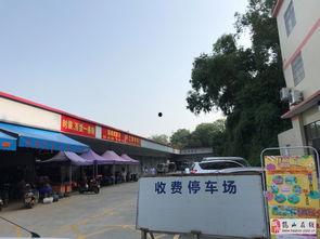 鹤山在线,全方位了解鹤山，尽享城市魅力